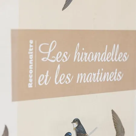 Les Hirondelles De La Plage * Ares